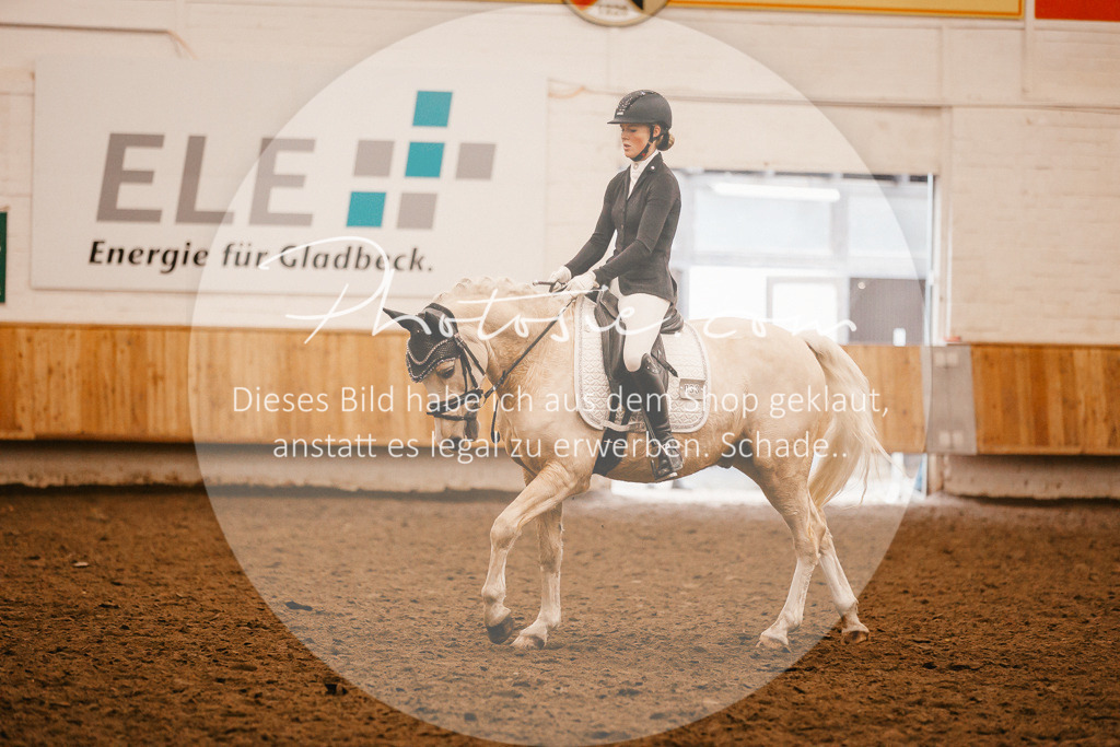 3I6A5491 | Stimmungsvolle Portraits und Reitsportfotografie im Ruhrgebiet und im Münsterland.

Pferdefotografie, Hundefotografie, Tierfotografie, Reportagen, Portraits von Tier und Mensch, Turnierfotografie in Bochum, Recklinghausen, Marl, Haltern am See, Dülmen.. - Realisiert mit Pictrs.com