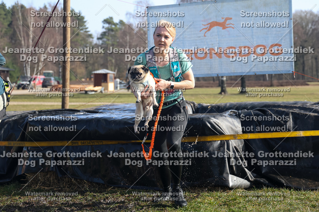 Dog Paparazzi - Strongdog North Mrz26-1338 | Dog Paparazzi Jeanette Grottendiek Fotografie & Videografie - Realisiert mit Pictrs.com
