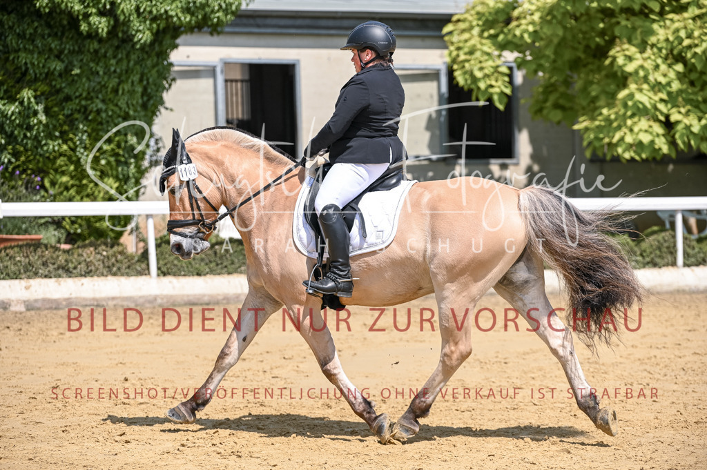 Schugtsche-Aluta25-53.Amat.Dressurprf.A2-244 | Schugtsche Fotografie - Realizzato con Pictrs.com
