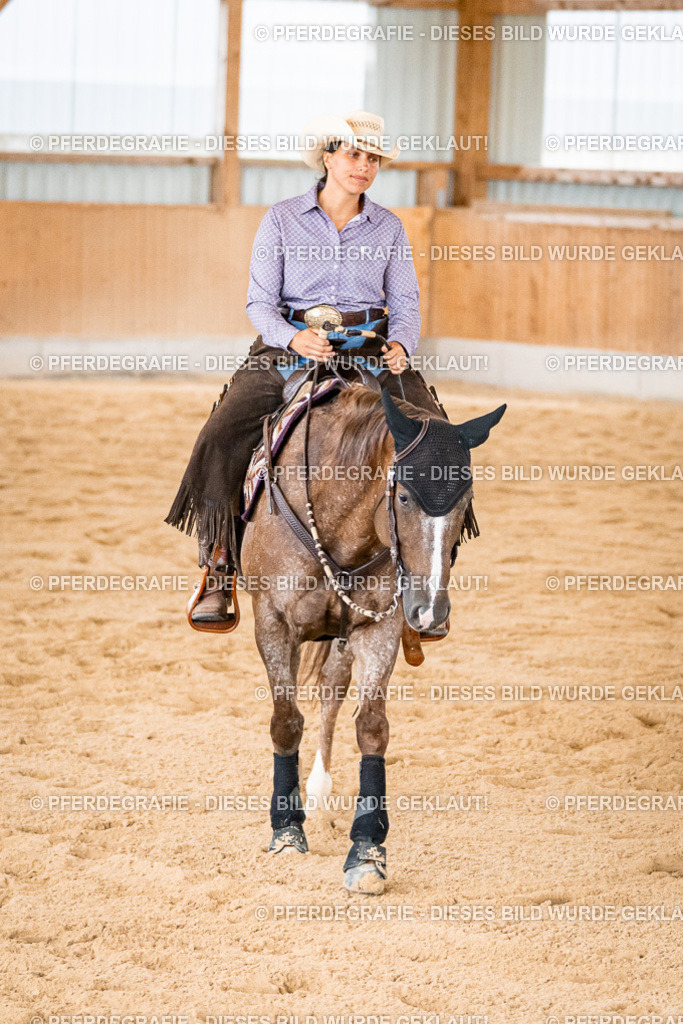 DSC00821 | Pferdegrafie