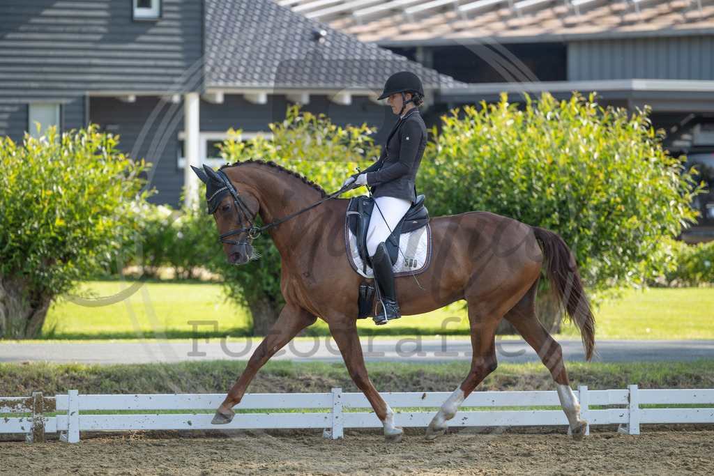 994A3352 | sabrinanicolaifotografie - Realisiert mit Pictrs.com