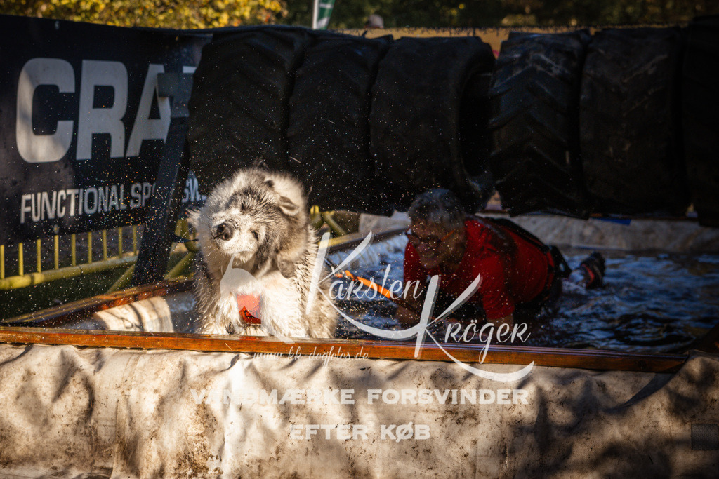 0935_ZZ91414 | kk-dogfotos
