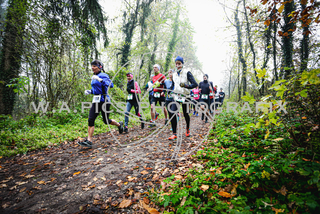 A-WAPICS_20241109_19-2 | Sport-,  Presse- und Eventbegleitung!
Contact me !
