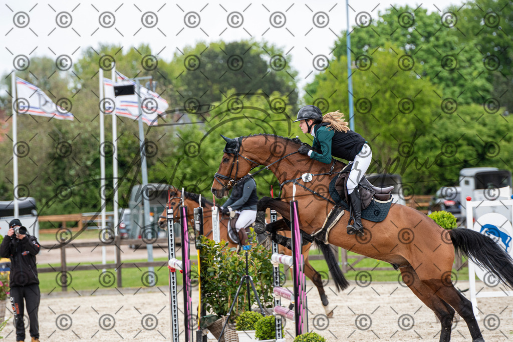 KPT_0012 | andre_photographic