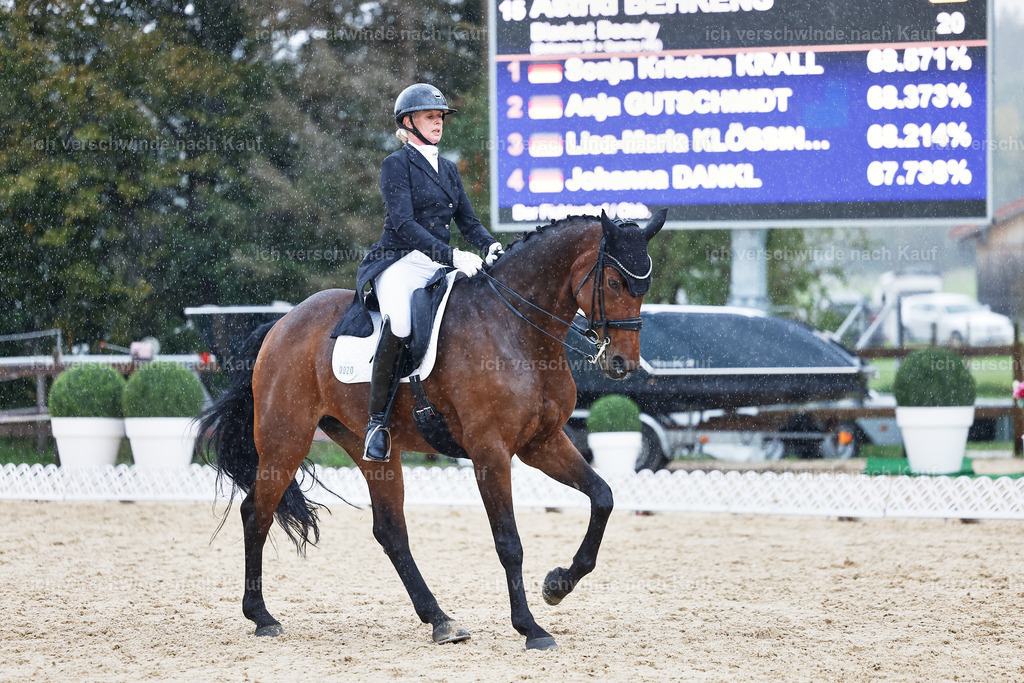 8_1-020-Klasse S_  -StoibPH-3986 | working equitationturnier fotograf videograf stoibphotography marixx film working equitation deutschland reitsport turnierfotografie eventfotografie equestrian events