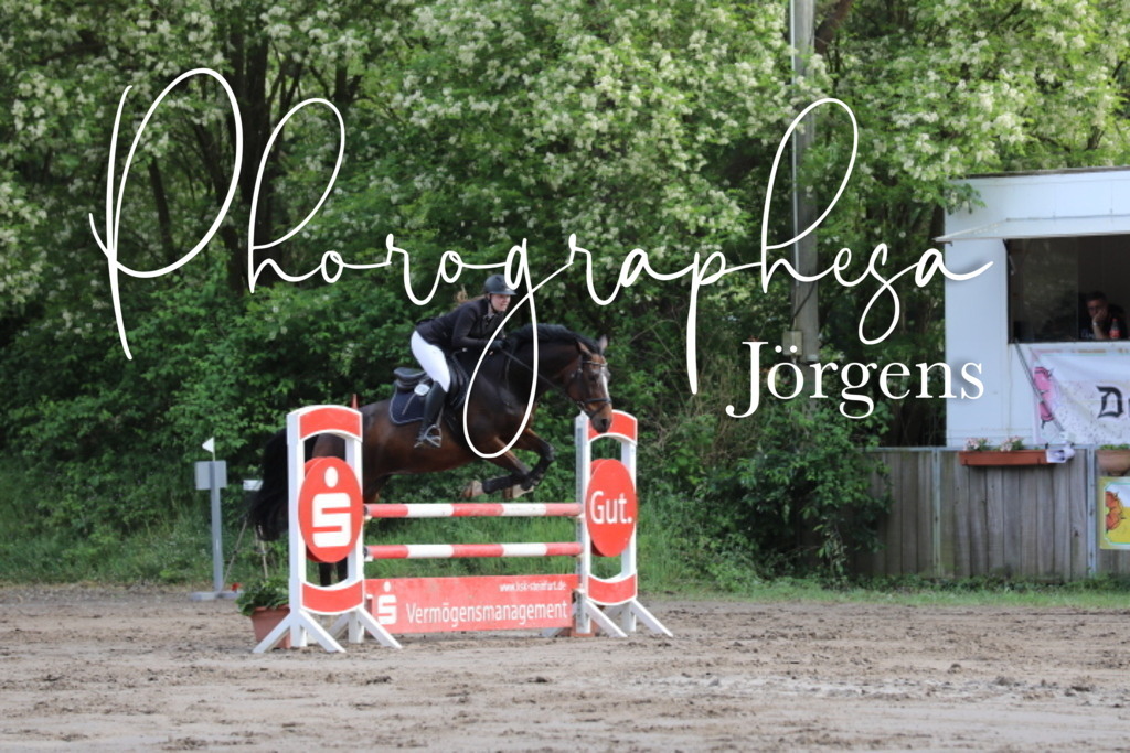 IMG_9062 | photographesa-joergens - Realisiert mit Pictrs.com