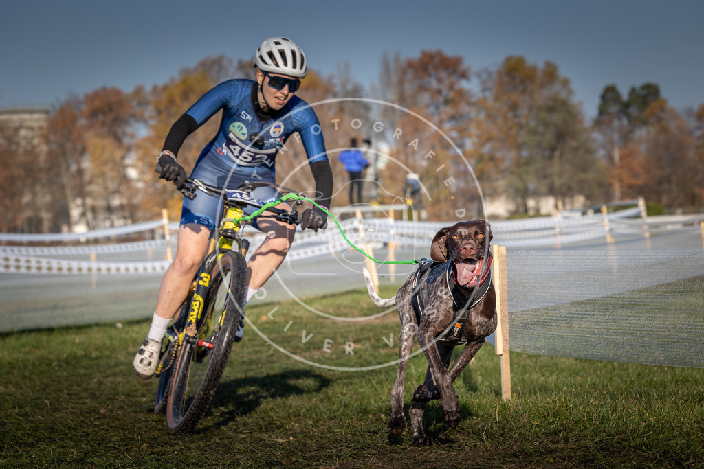 CaniXpix_0L8A4419 | Hundefotografie, Tierfotograf, Pfotenfotografie, Fotoshooting Hund, Hunde Portrait, Hundesport, Hundeportraits, Heideshooting, Hunde, Sportfotograf, Hundefotograf, Turnierhundsport, THS,  - Realisiert mit Pictrs.com