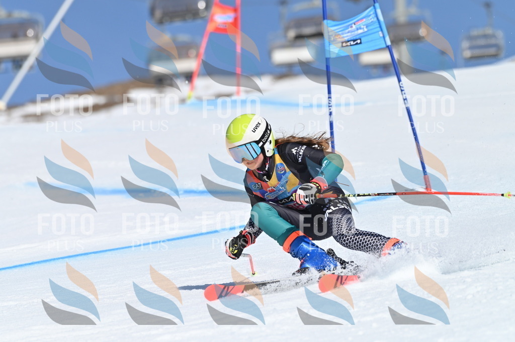 BGV_9221 | holidayphoto