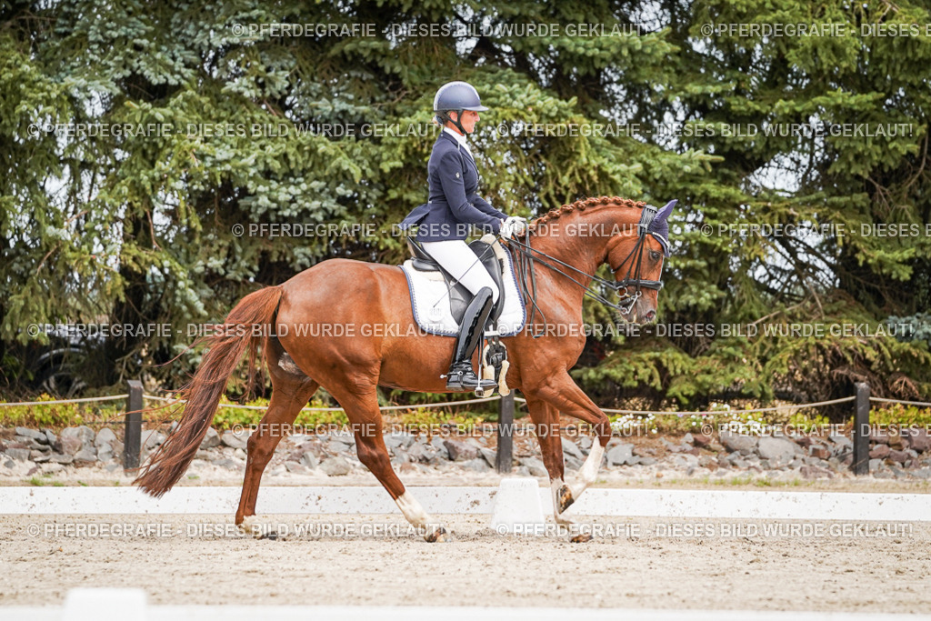 DSC05170 | Pferdegrafie