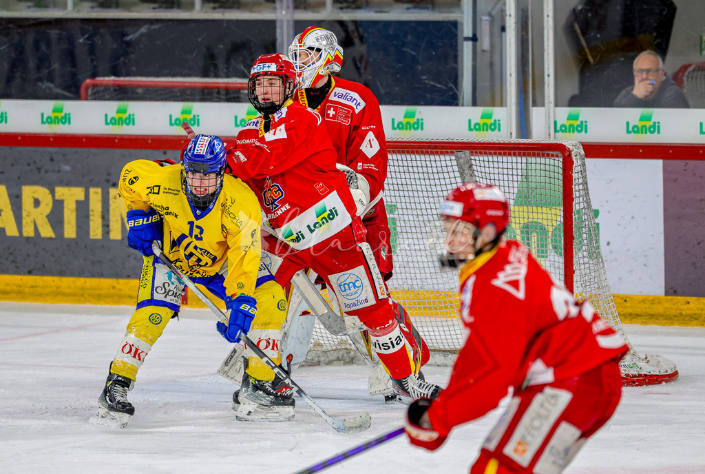 EHCB vs HCD-0816 | Sportbilder, Sportfotograf, Hochzeits- und Eventfotografin, Flugshows, Portraits und Tiershooting, Aviation, Downhill, Nationalleague, Swissleague, International