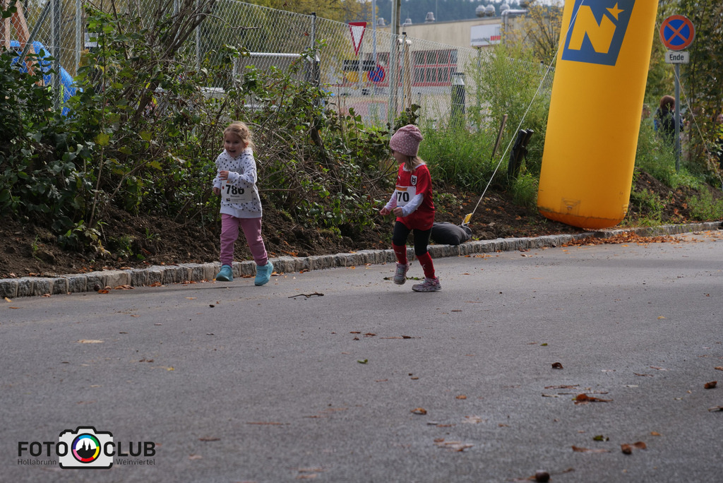 P1017366 | Foto Buchgraber