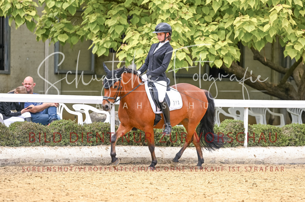 Schugtsche-Aluta25-44.DresssurreiterWB-316 | Schugtsche Fotografie - Realisiert mit Pictrs.com