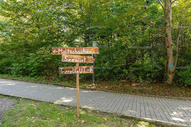 Kulinarischer Herbstreigen am Maltschacher See | Bildershop von pixelworld.at - Realisiert mit Pictrs.com