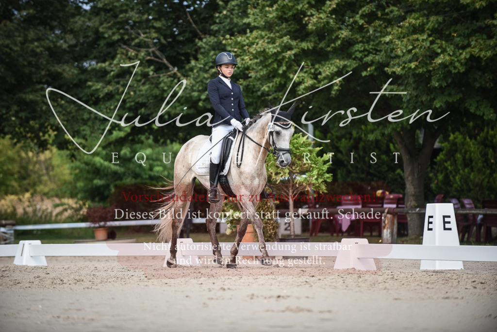 DSC_8685 | Pferde- und Turnierfotografie in Westsachsen. Pferdeportraits, Auftragszeichnungen und intuitive Kunst.