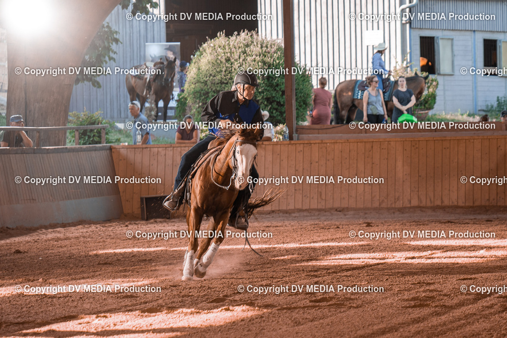 NE201338 | dv-media-shop - Realisiert mit Pictrs.com