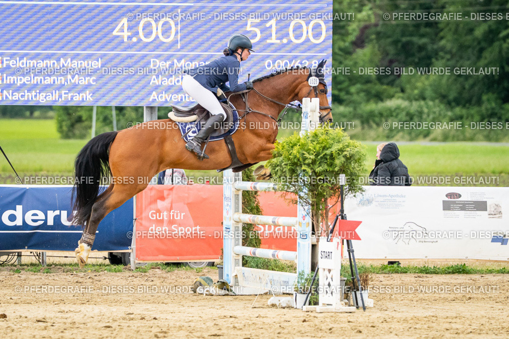 DSC06840 | Pferdegrafie