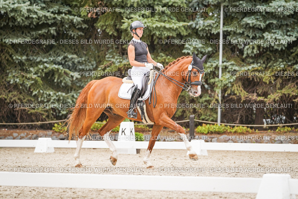 DSC07988 | Pferdegrafie