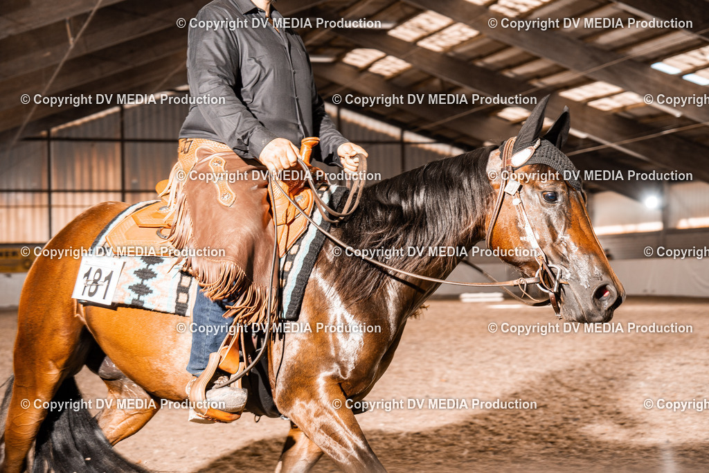 ZH100415 | dv-media-shop - Realisiert mit Pictrs.com