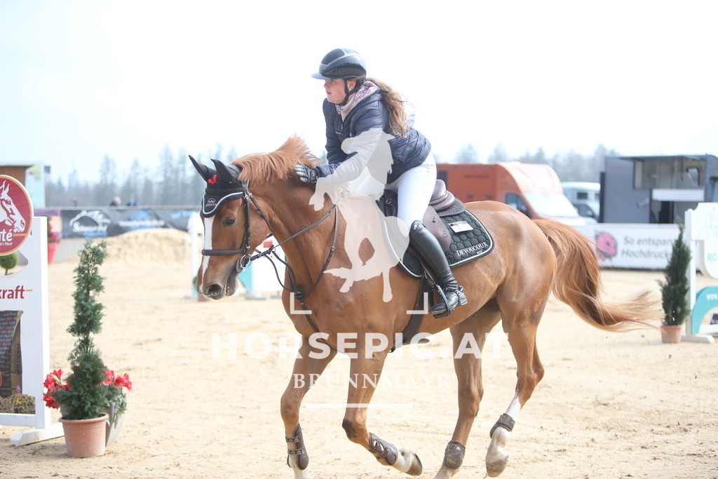 PP013678 | Willkommen bei Brunnmayr - Design & Fotografie – Ihrem Spezialisten für Reitturniere und Pferdeveranstaltungen in Oberösterreich, Salzburg und Bayern! Seit über 17 Jahren sind wir leidenschaftlich dabei.