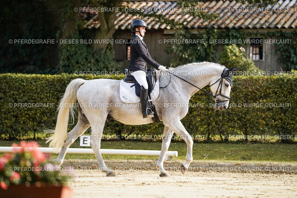 DSC05574 | Pferdegrafie