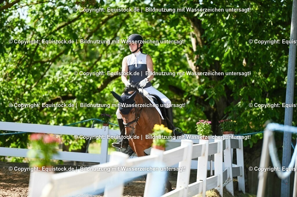 20230715_06_Dressurpferdeprfg. Kl.A_0395 | equistock