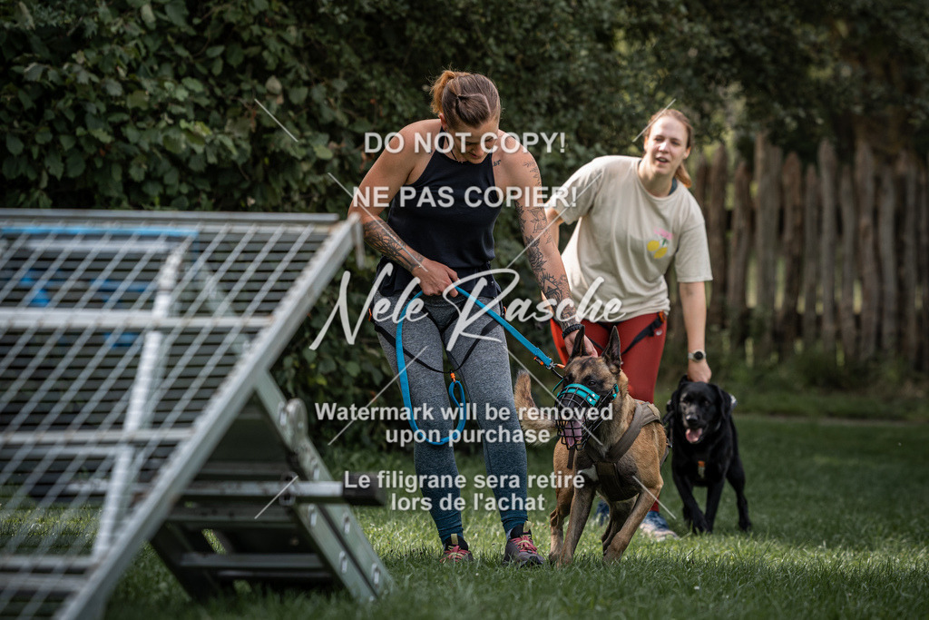 nelerasche_SoLauf_120 | nelerasche