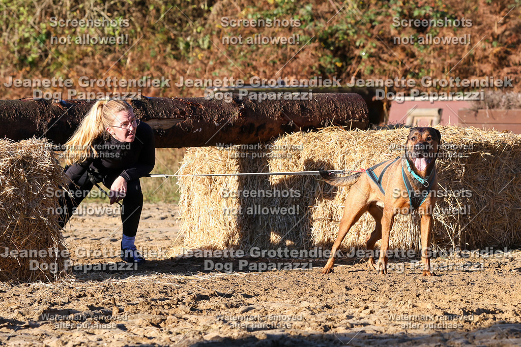 Dog Paparazzi - Strongdog 10-25-1191 | Dog Paparazzi Jeanette Grottendiek Fotografie & Videografie