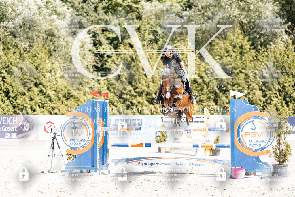 CK900320 | Turnierfotografie Pferdefotografie Trier Rheinland-Pfalz Pferdesport Reitsport Tierfotografie Sportfotografie Pferdevideo Pferdevideografie Equestrianvideography equestrianphotography  - Realisiert mit Pictrs.com