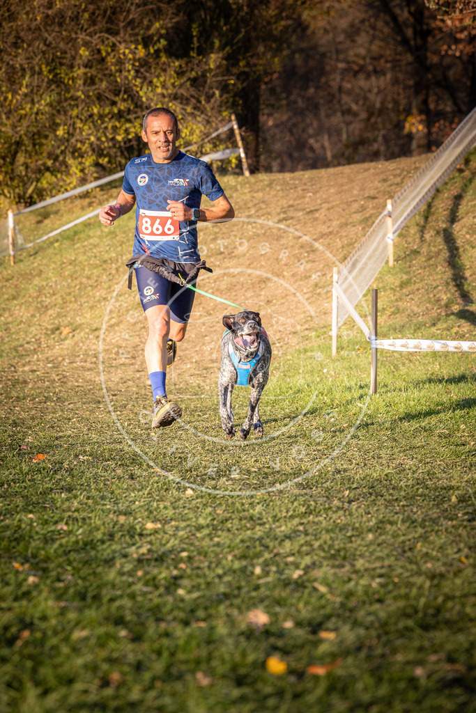 CaniXpix_0L8A1053 | Hundefotografie, Tierfotograf, Pfotenfotografie, Fotoshooting Hund, Hunde Portrait, Hundesport, Hundeportraits, Heideshooting, Hunde, Sportfotograf, Hundefotograf, Turnierhundsport, THS,  - Realisiert mit Pictrs.com