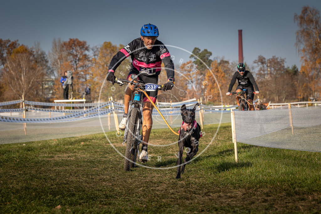 CaniXpix_0L8A7818 | Hundefotografie, Tierfotograf, Pfotenfotografie, Fotoshooting Hund, Hunde Portrait, Hundesport, Hundeportraits, Heideshooting, Hunde, Sportfotograf, Hundefotograf, Turnierhundsport, THS,  - Realisiert mit Pictrs.com