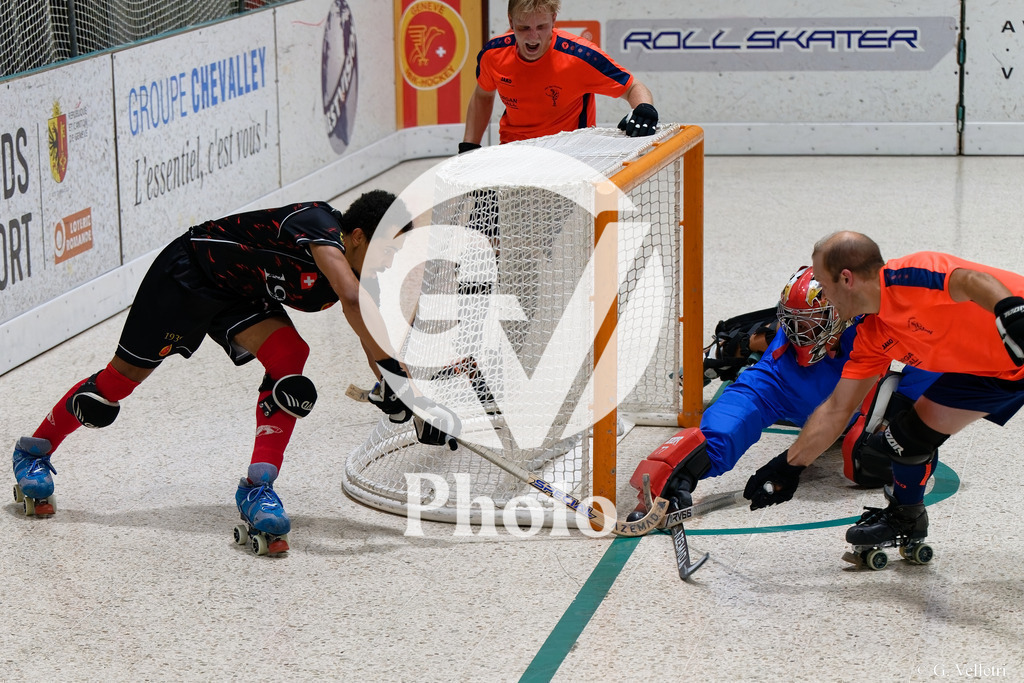 DSC_3764 | Velletri Photo