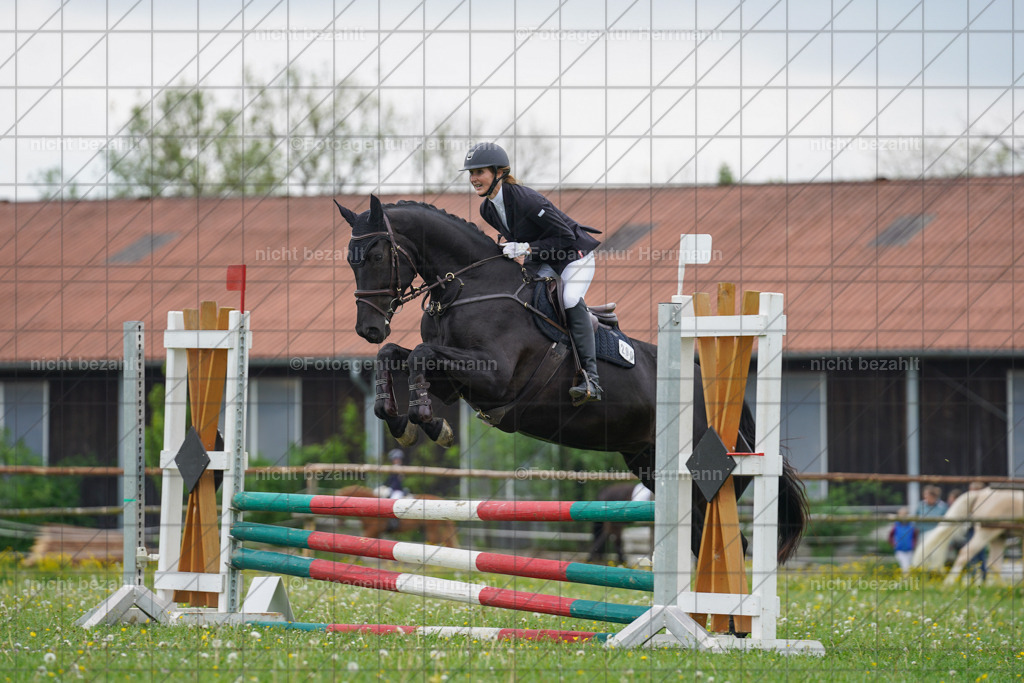 20240509-FAH02598 | Turnierbilder der Turnierfotografen Bayern, Pferdesport Fotografie, Reitsportbilder, Turnier Landberg am Lech, Turnierbilder bayern, Fotoagentur Herrmann