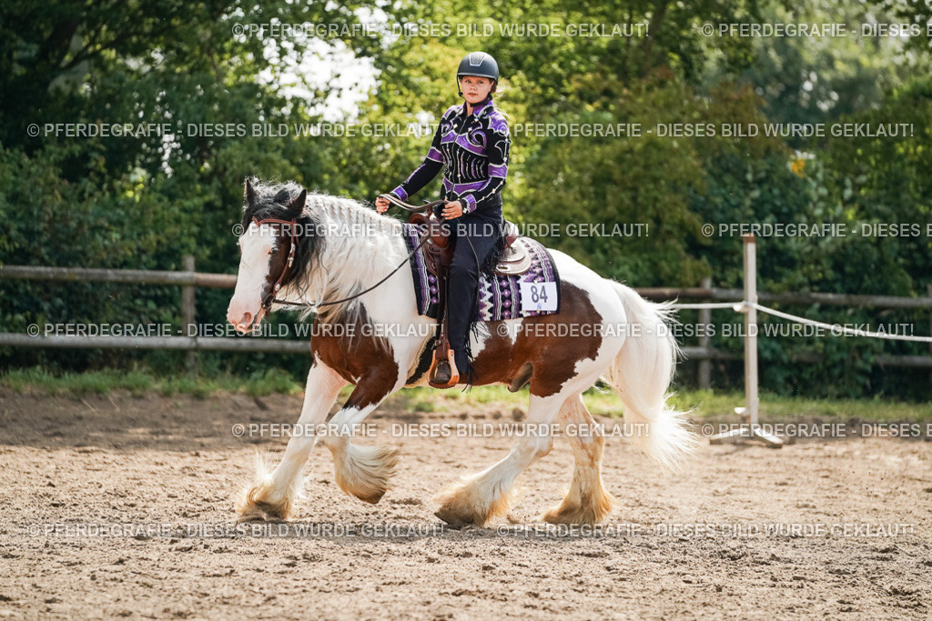 DSC05043 | Pferdegrafie