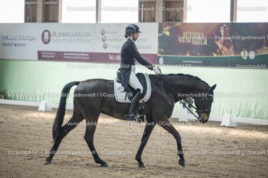 _D5A4759 | Emotionale Pferde- & People-Fotografie rund um Heidelberg, Leimen & Umgebung. Natürliche Fotos von Pferd, Mensch & Familie. Jetzt Termin sichern!