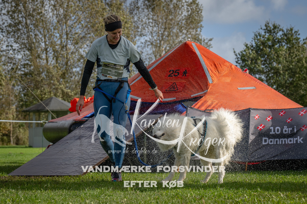 1211-92760 | kk-dogfotos
