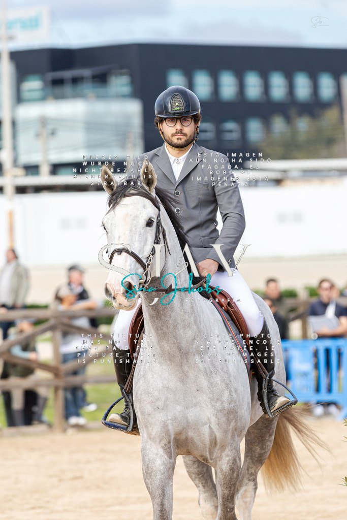 IMG_2515 | s-jay-photography - Realisiert mit Pictrs.com