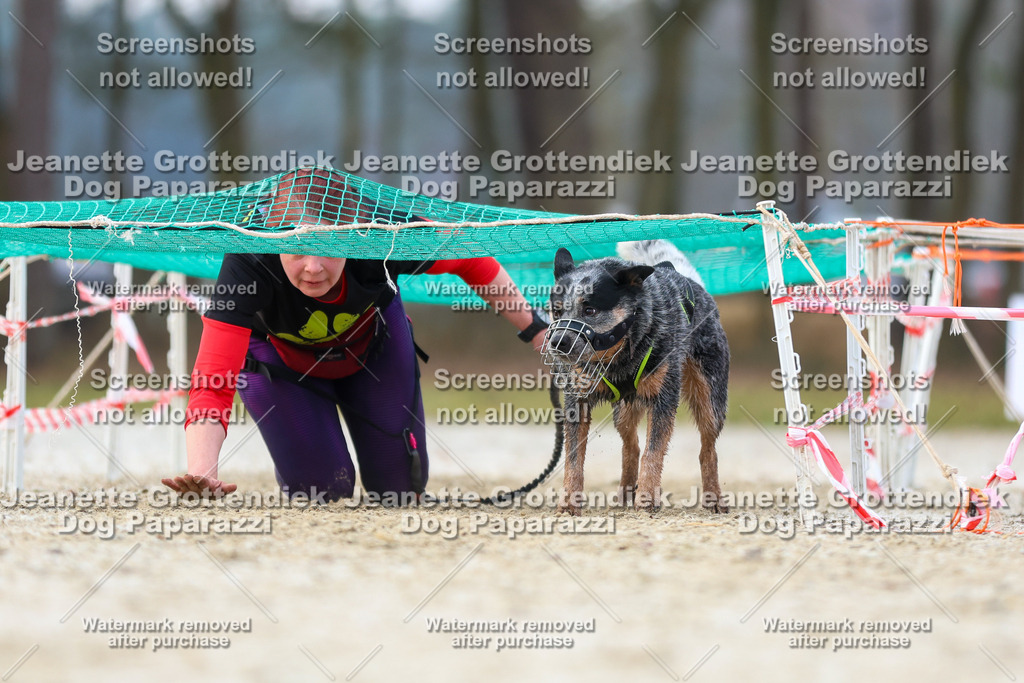 Dog Paparazzi - Strongdog North Mrz26-3892 | Dog Paparazzi Jeanette Grottendiek Fotografie & Videografie - Realisiert mit Pictrs.com