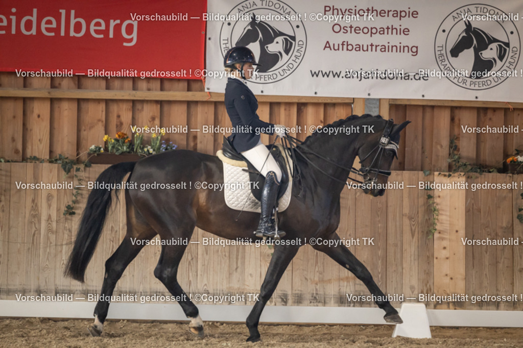 _D5A2942 | Emotionale Pferde- & People-Fotografie rund um Heidelberg, Leimen & Umgebung. Natürliche Fotos von Pferd, Mensch & Familie. Jetzt Termin sichern!