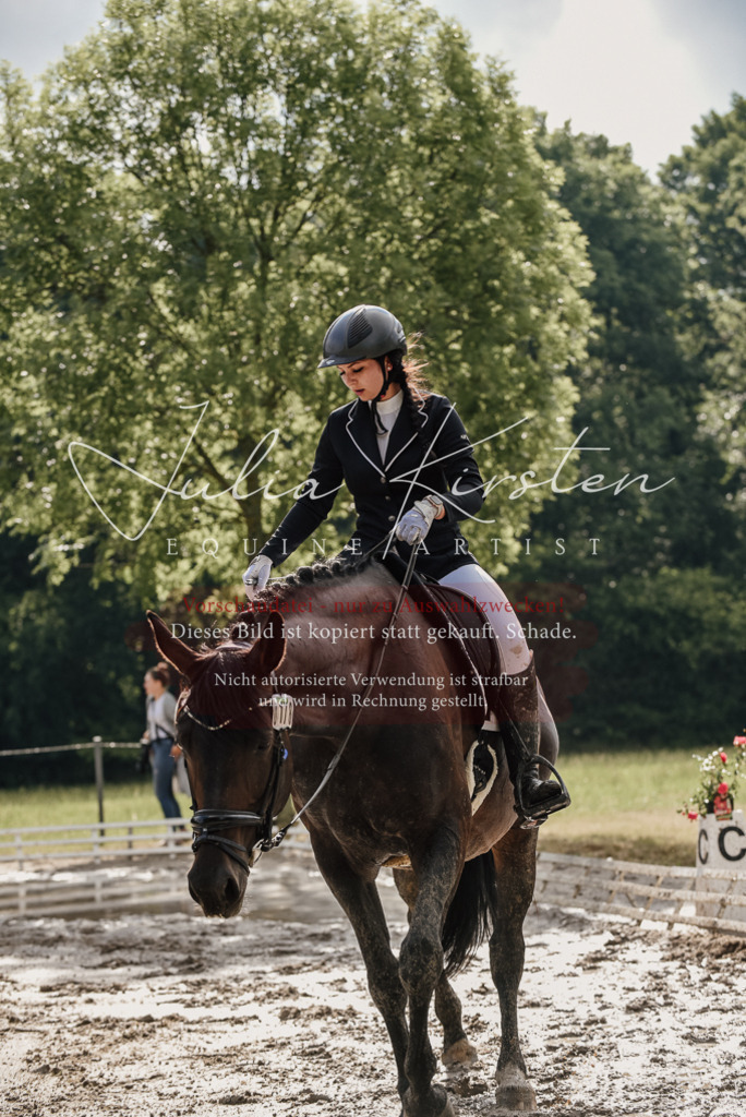 DSC_8705 | Pferde- und Turnierfotografie in Westsachsen. Pferdeportraits, Auftragszeichnungen und intuitive Kunst.