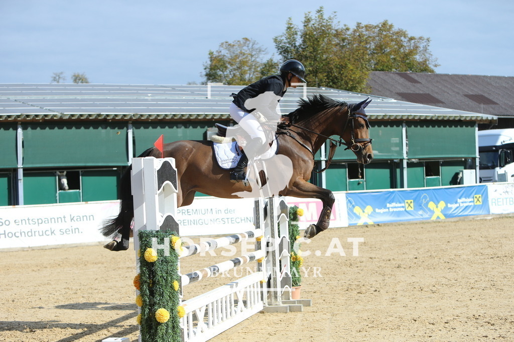 DL2Q4709 | Willkommen bei Brunnmayr - Design & Fotografie – Ihrem Spezialisten für Reitturniere und Pferdeveranstaltungen in Oberösterreich, Salzburg und Bayern! Seit über 17 Jahren sind wir leidenschaftlich dabei.