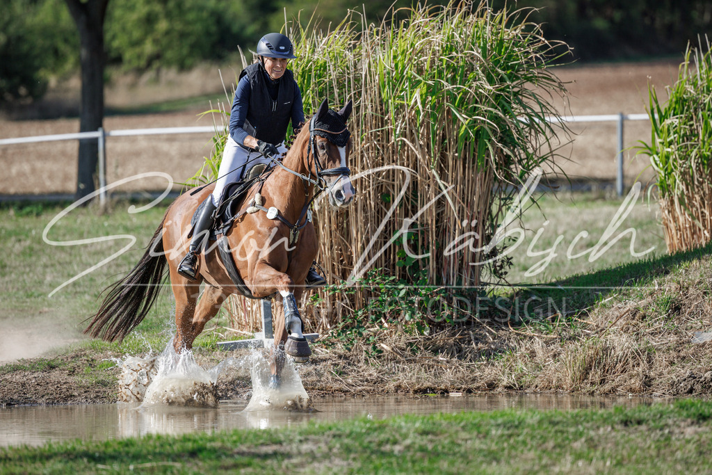 20260905-_3LI0336 | Tierfotografie Pferde, Hunde, Katzen, Haustiere.
Turnierfotografie Reitturniere, Reiten, Springreiten, Dressur in Hanau, dem Main-Kinzig-Kreis und dem Rhein-Main- Gebiet um Frankfurt