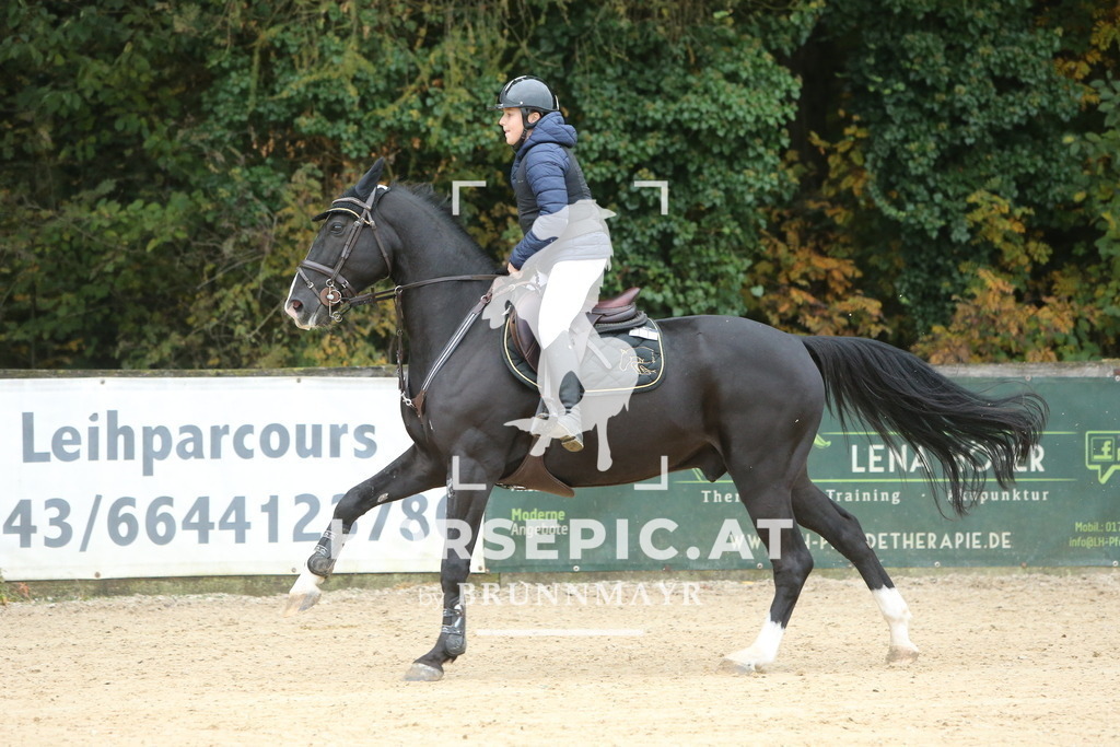 DL2Q4227 | Willkommen bei Brunnmayr - Design & Fotografie – Ihrem Spezialisten für Reitturniere und Pferdeveranstaltungen in Oberösterreich, Salzburg und Bayern! Seit über 17 Jahren sind wir leidenschaftlich dabei.