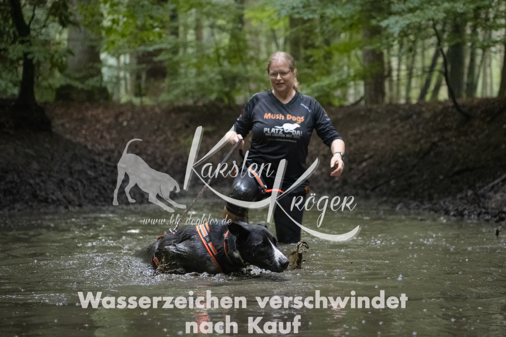 1300_ZZ91110-Bearbeitet | kk-dogfotos