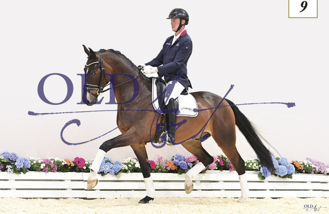 09 Da Capo DE433330276919 Da Costa - Roadster - Sandro Hit | <meta name="description" content="★Offizieller Merchandise und Foto-/Videostore des Oldenburger Verbandes.★ ✅Jetzt auch digital Ausdrucke erhältlich." />
<meta name="keywords" content="Merchandise Foto-/Videostore Oldenburger Verband Photographie 