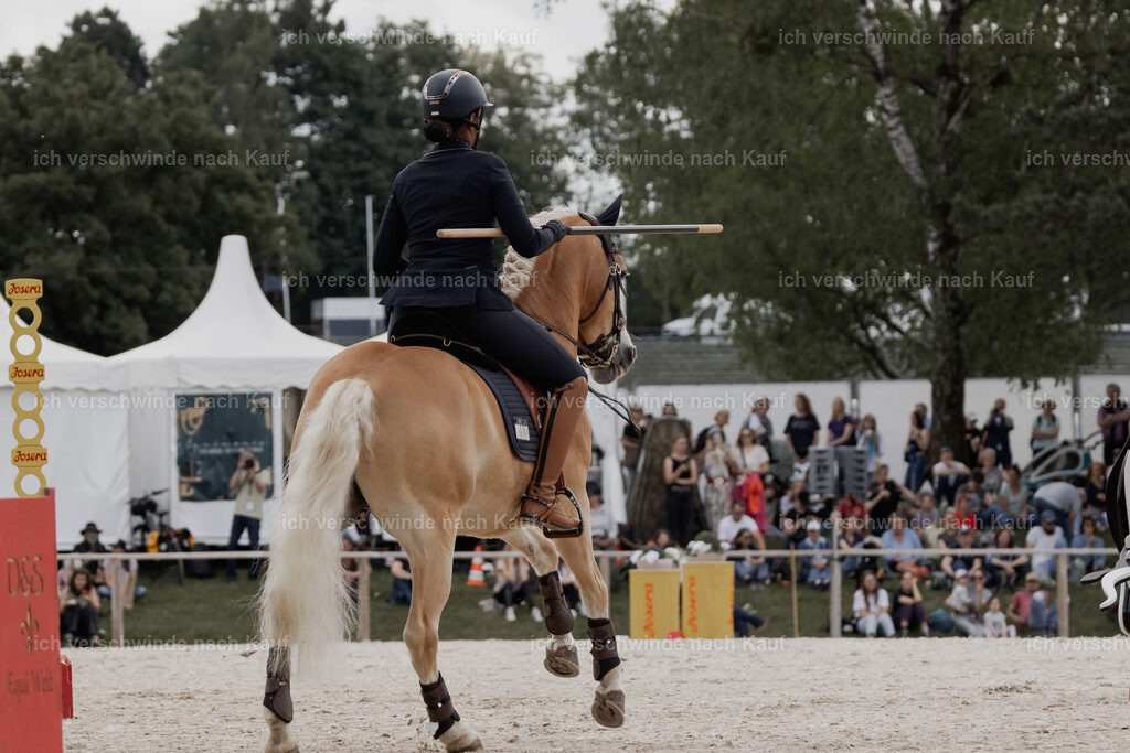 WE_ST_Stoib_308_PI2025_987 | Pferd International München 2025