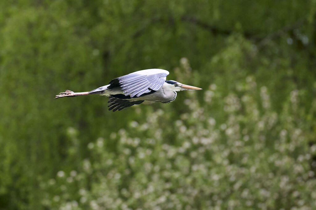 580A8933 | Peter Fridle Fotografie - Realisiert mit Pictrs.com