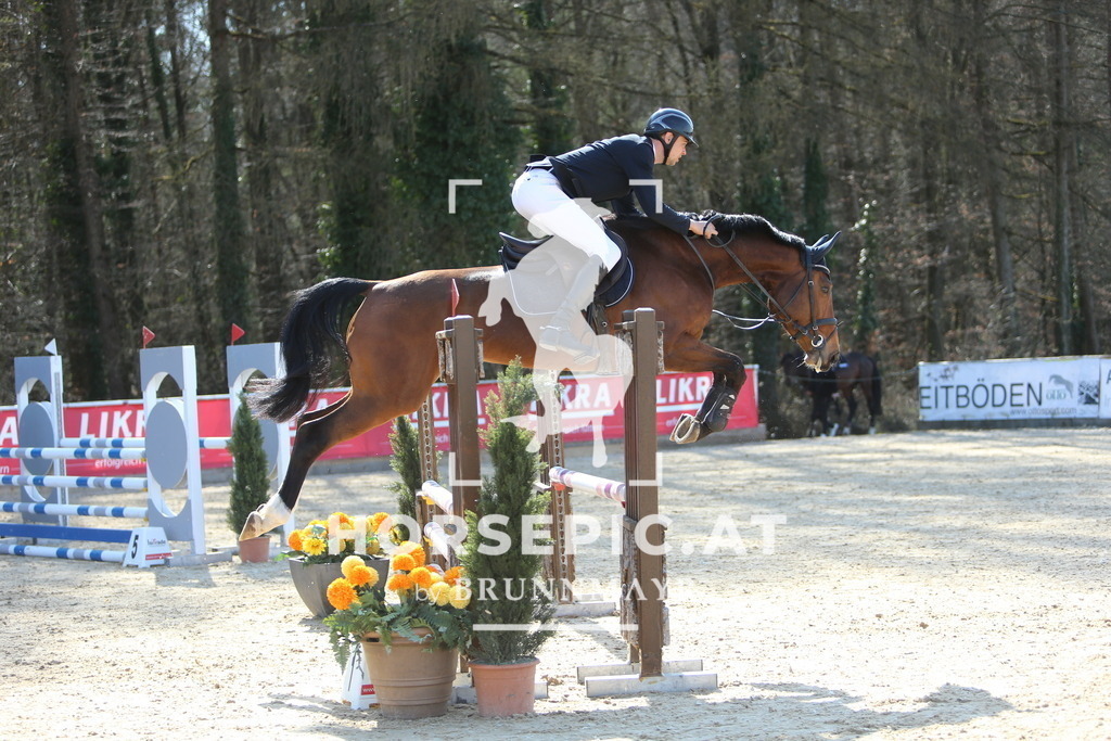 DL2Q3630 | Willkommen bei Brunnmayr - Design & Fotografie – Ihrem Spezialisten für Reitturniere und Pferdeveranstaltungen in Oberösterreich, Salzburg und Bayern! Seit über 17 Jahren sind wir leidenschaftlich dabei.