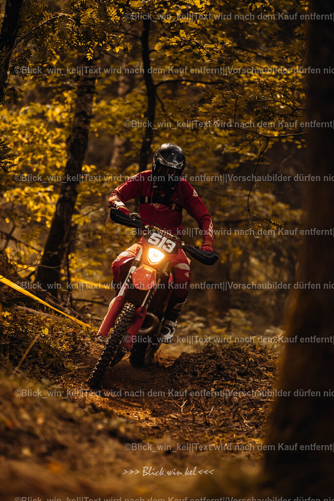 E68A3977 | blick_win_kel