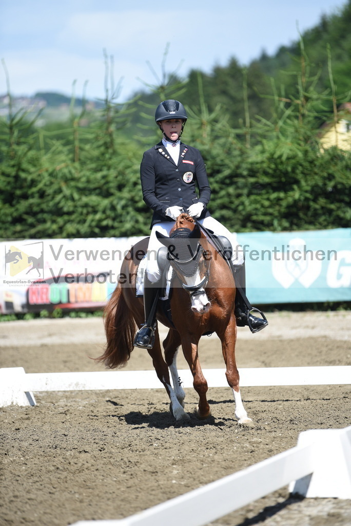 DSC_0223 | equestrian-live-com