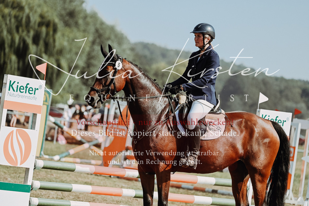 DSC_9384 | Pferde- und Turnierfotografie in Westsachsen. Pferdeportraits, Auftragszeichnungen und intuitive Kunst.
